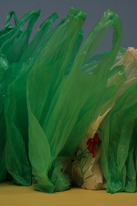 variations saisonnières, 2015 © de l'artiste