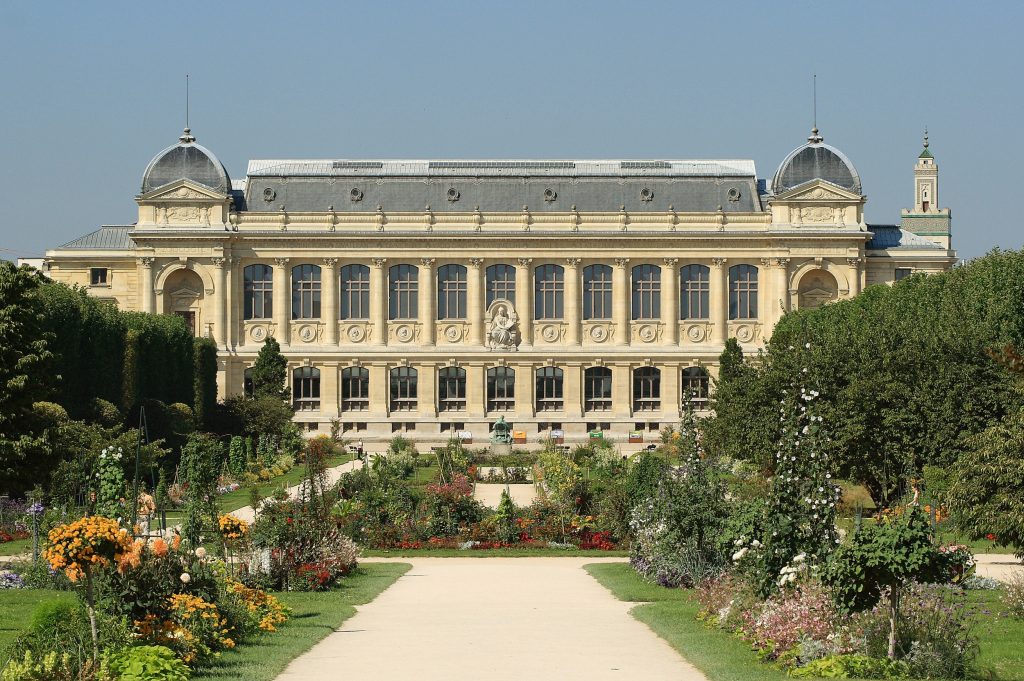 Le muséum d'histoire naturelle, dans le jardin des plantes, à Paris. © Benh LIEU SONG