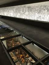 Les objets de la guerre à Thiepval