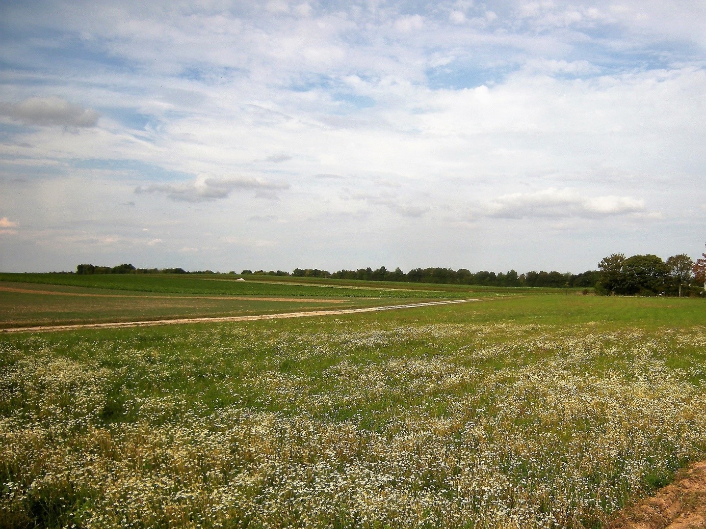 Photo 1 (Richard DUPUIS) Lieux-dits Les Bouvrots & la Prêle, Est du Musée de la Bertauge