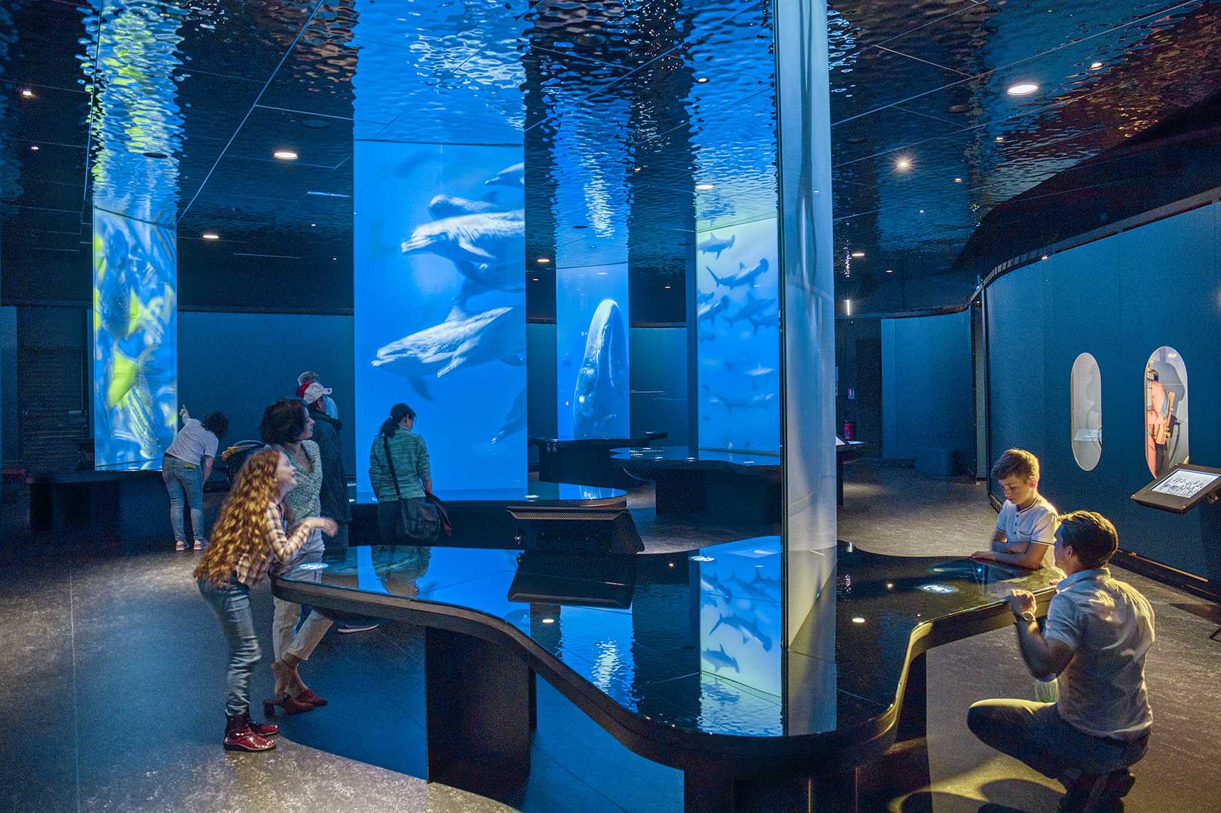 L’océan du futur ©Vincent Rustuel Cité de la mer. DR.