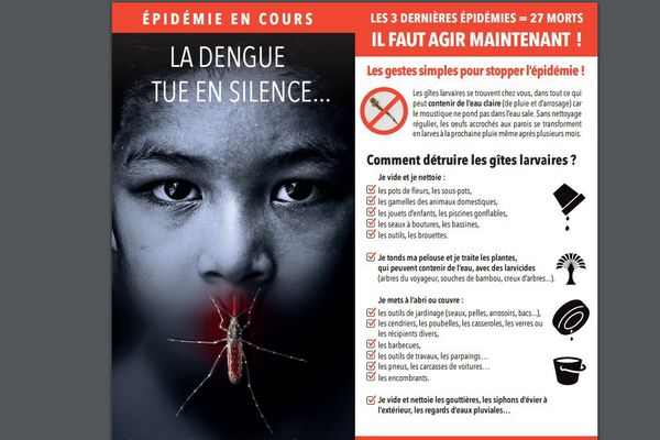 illustration_11_ter_affiche_anti-dengue_en_nouvelle-caledonie_2017.jpg